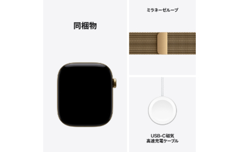 Apple Watch Series 12