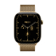 Apple Watch Series 12