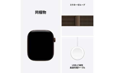 Apple Watch Series 12