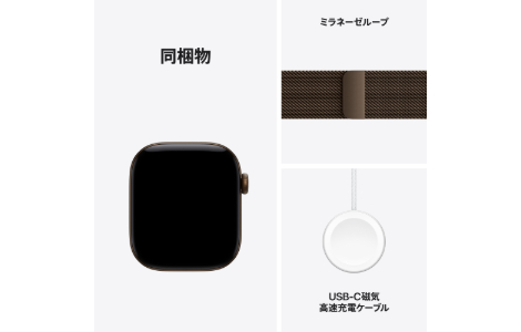 Apple Watch Series 12