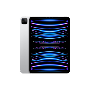 11�C���`iPad Pro(��4����) �X�y�[�X�O���C 256GB�iMNYE3JA�j | au