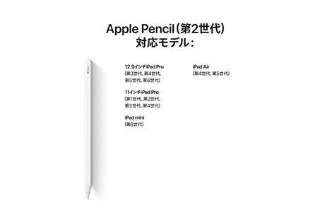 iPad Pro Apple Pencil2