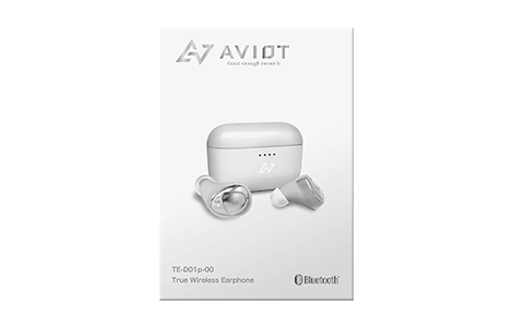 AVIOT TE-D01p-00／SILVER