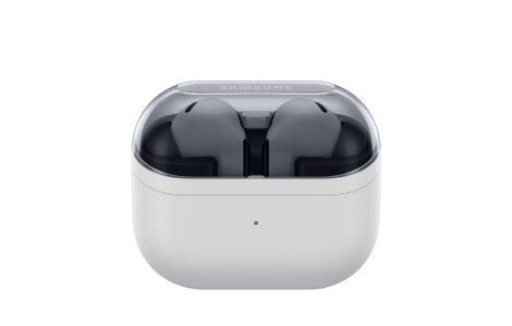 Samsung Galaxy Buds3 FE / Gray