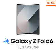 Galaxy Z Fold6 IC