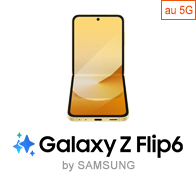 Galaxy Z Flip6 IC